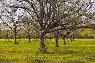 6888 Old Seguin Luling Rd, Seguin, TX 78155 - Photo 6