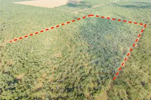 Tbd N Fm 108, Smiley, TX 78159 - Photo 8