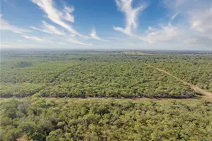 Tbd N Fm 108, Smiley, TX 78159 - Photo 10