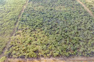 Tbd N Fm 108, Smiley, TX 78159 - Photo 6