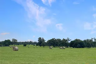 1228 County Rd 348 Loop, Gause, TX 77857 - Photo 42