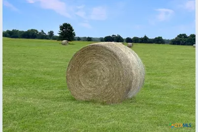 1228 County Road 348 Loop, Gause, TX 77857 - Photo 44