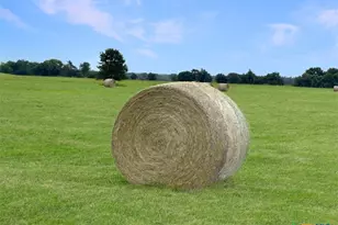 1228 County Rd 348 Loop, Gause, TX 77857 - Photo 44