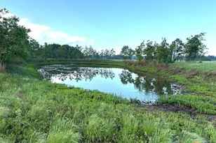 1228 County Rd 348 Loop, Gause, TX 77857 - Photo 40