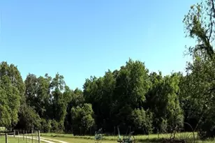 1228 County Rd 348 Loop, Gause, TX 77857 - Photo 28