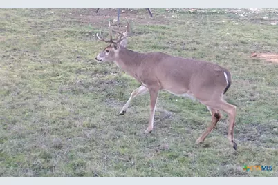 570 Pr 42103, Evant, TX 76525 - Photo 40