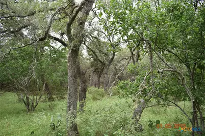 2315 Haven Bluff Court, New Braunfels, TX 78132 - Photo 4