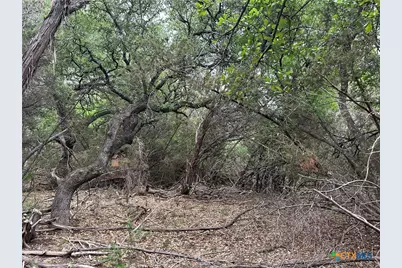 125 Hillcrest Drive, Gatesville, TX 76528 - Photo 20