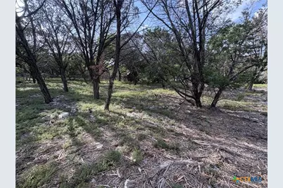 2303 Prickley Pear Road, Belton, TX 76513 - Photo 10
