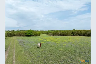 740 Old Georgetown Road, Gatesville, TX 76528 - Photo 38