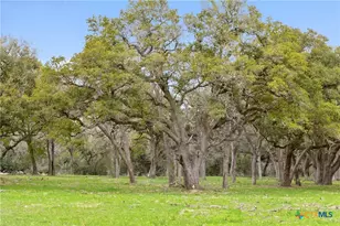 778 Co Rd 123, Edna, TX 77957 - Photo 10