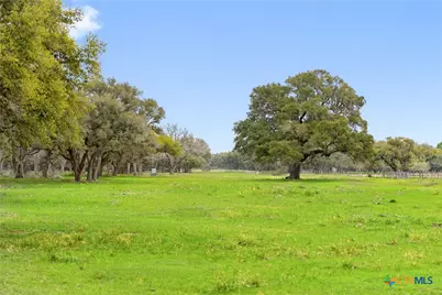 778 County Road 123, Edna, TX 77957 - Photo 8