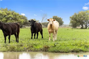 778 Co Rd 123, Edna, TX 77957 - Photo 2