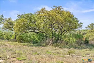 0 Hwy 290, Johnson City, TX 78636 - Photo 12