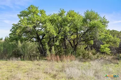 0 Hwy 290, Johnson City, TX 78636 - Photo 24