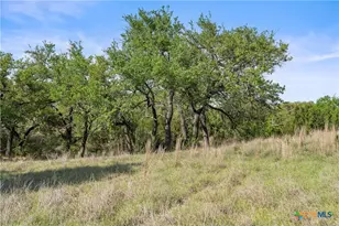 0 Hwy 290, Johnson City, TX 78636 - Photo 30