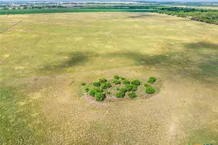 Cr 463 Fm 1347, Stockdale, TX 78160 - Photo 10