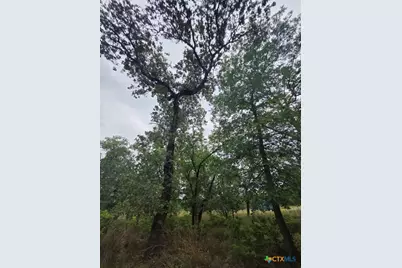 1060 Vivroux Ranch Road, Seguin, TX 78155 - Photo 10