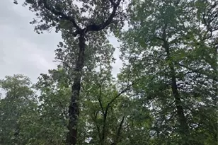 1060 Vivroux Ranch Rd, Seguin, TX 78155 - Photo 10