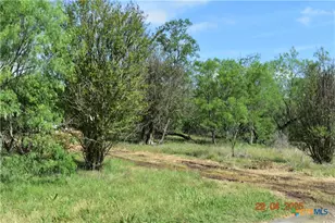 240 -A Caney Creek Rd, New Braunfels, TX 78130 - Photo 1