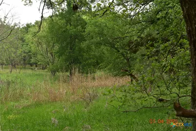000 Lot 3 Caney Creek Road, New Braunfels, TX 78130 - Photo 4