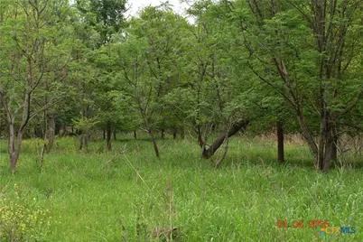 000 Lot 3 Caney Creek Road, New Braunfels, TX 78130 - Photo 6