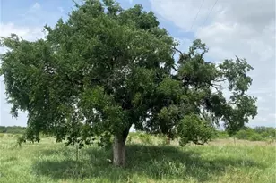 265 N County Road 2227, Lampasas, TX 76550 - Photo 1