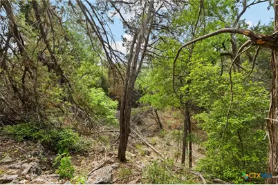 1977 Pinotage, New Braunfels, TX 78132 - Photo 6