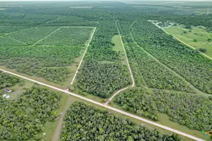 000 San Antonio River Rd, Victoria, TX 77905 - Photo 38