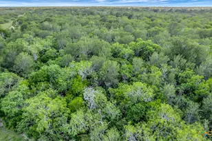 000 San Antonio River Rd, Victoria, TX 77905 - Photo 44