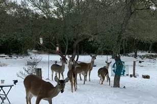 1111 Willis Way, San Marcos, TX 78666 - Photo 30