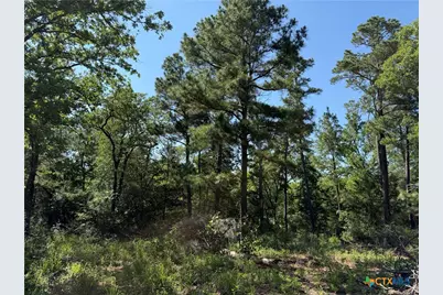 380 Private Road 6040, Cameron, TX 75620 - Photo 14