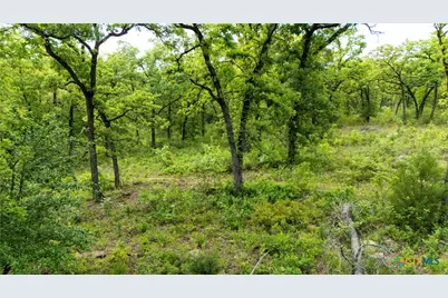 380 Private Road 6040, Cameron, TX 75620 - Photo 24