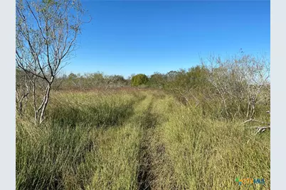000 County Rd 407, Waelder, TX 78959 - Photo 20
