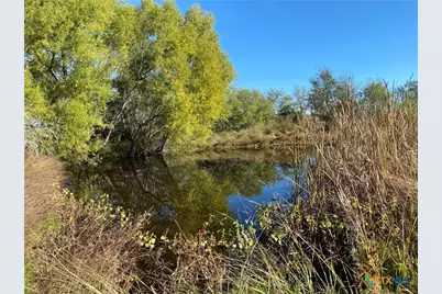 000 County Rd 407, Waelder, TX 78959 - Photo 18