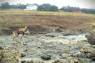 Lot 231 Winecup Dr, Lampasas, TX 76550 - Photo 14