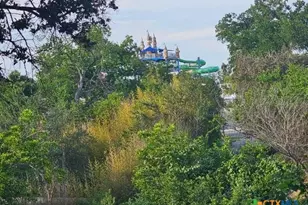 263 E Garden St, New Braunfels, TX 78130 - Photo 6