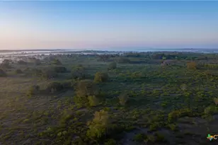 8440 State Hwy 239, Goliad, TX 77963 - Photo 22