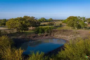 8440 State Hwy 239, Goliad, TX 77963 - Photo 10