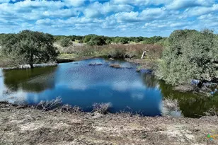 8440 State Hwy 239, Goliad, TX 77963 - Photo 14