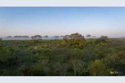 8440 State Highway 239, Goliad, TX 77963 - Photo 4