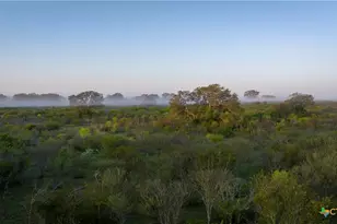 8440 State Hwy 239, Goliad, TX 77963 - Photo 4