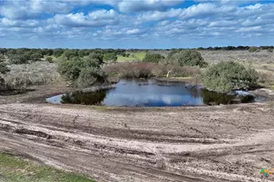 8440 State Hwy 239, Goliad, TX 77963 - Photo 12