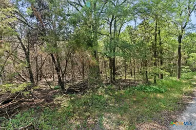 419 Valley View West Road, San Marcos, TX 78666 - Photo 14