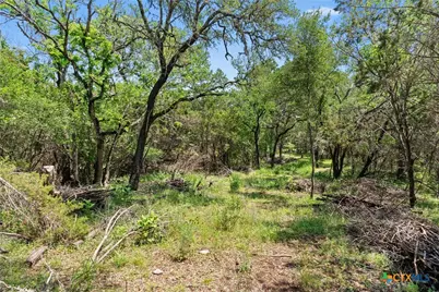 419 Valley View West Road, San Marcos, TX 78666 - Photo 6