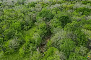 Tbd Sparta Field Rd, Waelder, TX 78959 - Photo 22