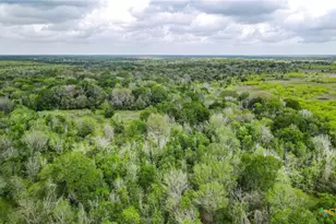 Tbd Sparta Field Rd, Waelder, TX 78959 - Photo 24