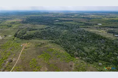 Tbd Sparta Field Road, Waelder, TX 78959 - Photo 14