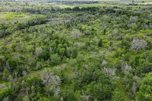 Tbd Sparta Field Rd, Waelder, TX 78959 - Photo 26