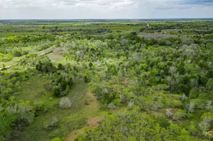 Tbd Sparta Field Rd, Waelder, TX 78959 - Photo 28